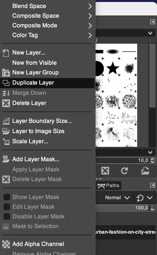 Duplicate layer